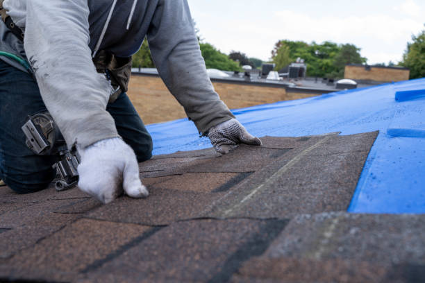 Gutter Installation and Roofing in Neoga, IL